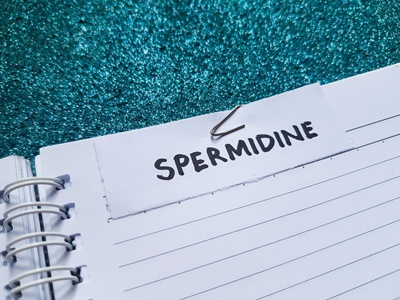 Spermidina: ce este, cum actioneaza, surse alimentare