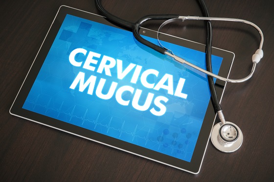 Glera cervicala sau mucusul cervical