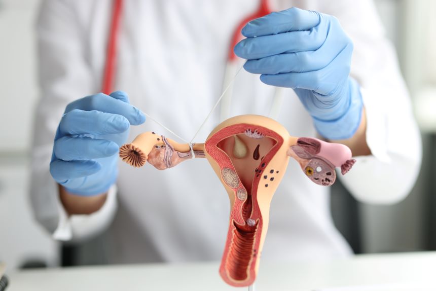 Trompe uterine – rol si afectiuni asociate