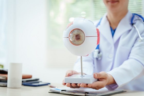 Aparatul lacrimal: anatomie, rol si functii, afectiuni asociate