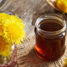 Sirop de papadie: utilizari si beneficii
