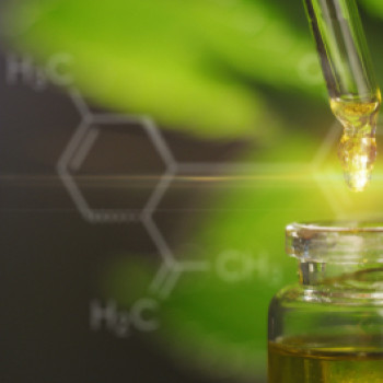 Uleiul CBD: la ce foloseste si care este diferenta fata de uleiul de canepa