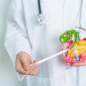 Cancer de vezica biliara: factori de risc si cauze, simptome, diagnostic si semnale de alarma