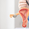 Trompe uterine: rol, functii in organism si afectiuni asociate