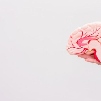 Sindromul cerebelos: cauze, diagnostic, manifestari clinice si tratament