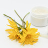 Crema de arnica – utilizari si beneficii