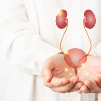 Sistem urinar: anatomie, functii esentiale, afectiuni asociate