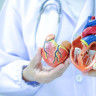 Vena cava superioara: roluri si functii, afectiuni asociate