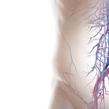 Vena sau artera iliaca: Anatomie si rol in circulatia sangelui 