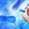 Top 10 alimente pentru un microbiom intestinal sanatos