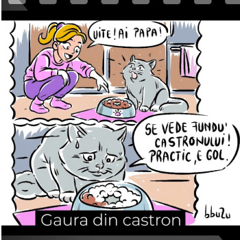 Gaura din castron - Ep 265