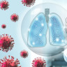 Cum slabeste gripa apararea plamanilor: mecanismul prin care virusul deschide calea pneumoniei