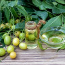 Ulei de neem – beneficii si utilizari