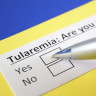 Tularemie: ce este, semne si simptome, diagnostic si tratament