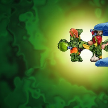 Cum influenteaza varsta absorbtia vitaminelor si mineralelor?