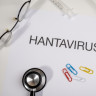Hantavirus: ce este, cum se transmite si cum poate fi prevenit
