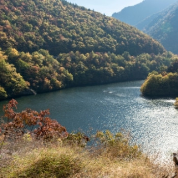 Beneficiile timpului petrecut in natura: sanatate fizica si mintala in sezonul cald