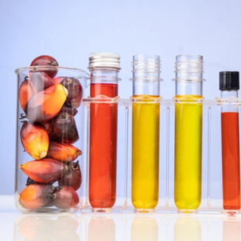 Carotenoide: ce sunt, cum functioneaza, surse alimentare