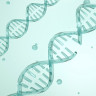 Sindrom Gorlin (Gorlin-Goltz): cauze, simptome, diagnostic si tratament