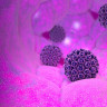 Legatura dintre HPV si cancerul de col uterin - informatii importante