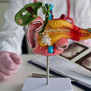 Ce este lipaza serica? Rolul acestei analize in diagnosticarea problemelor la pancreas