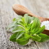 Despre stevia – proprietati si beneficii