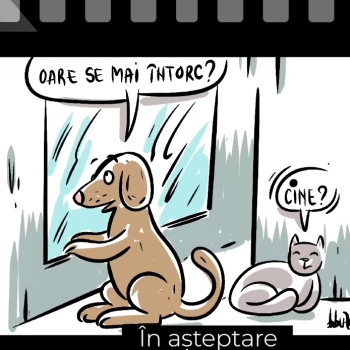 In asteptare - Ep. 247