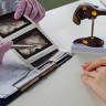 Cancer de vezica biliara: factori de risc si cauze, simptome, diagnostic si semnale de alarma