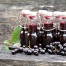 Suc de aronia - beneficii si recomandari de consum