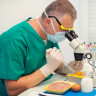Informatii complete despre infectia cu Salmonella