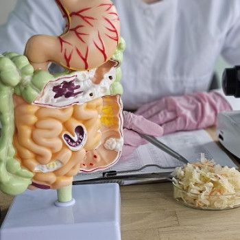 Analiza microbiom intestinal: ce este, ce scop are, pregatirea pacientului, rezultate