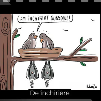 De inchiriere - Ep. 237