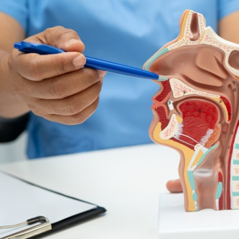 Fractura de piramida nazala (nas spart): diagnostic, optiuni de tratament si recuperare