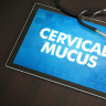 Glera cervicala sau mucusul cervical