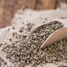 Seminte de canepa – proprietati, beneficii si modalitati de consum