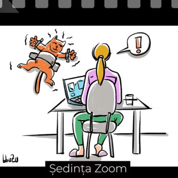 Sedinta Zoom - Ep. 206