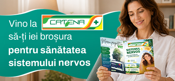 Sistemul nervos - cum functioneaza si cum sa il protejezi