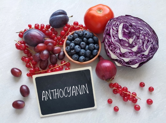 antocianine