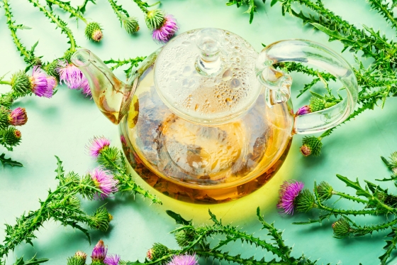 ceai-de-armurariu-beneficii-oase