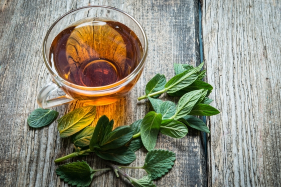 ceai-de-menta