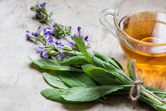 ceai-de-salvie-proprietati-antioxidante