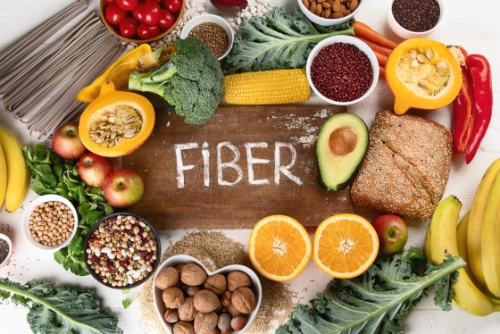 colon-sanatate-fibre