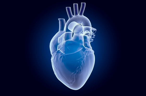 ce-este-defectul-septal-ventricular