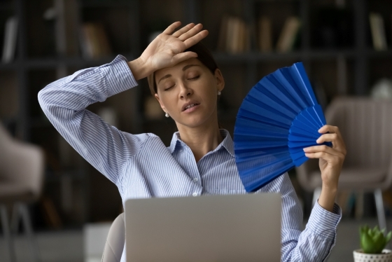 cauze-caldura-interior