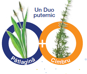 patlagina-si-cimbru