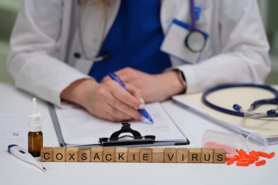 infectia-cu-virusul-Coxsackie-cauze-factori-de-risc-tratament
