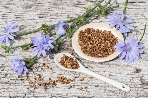 inulina-surse-naturale-si-beneficii