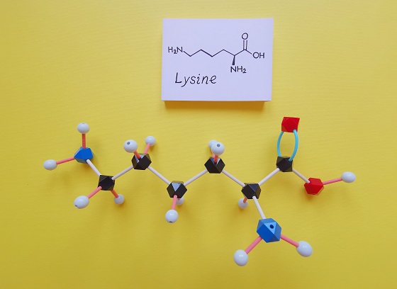 L-lysine