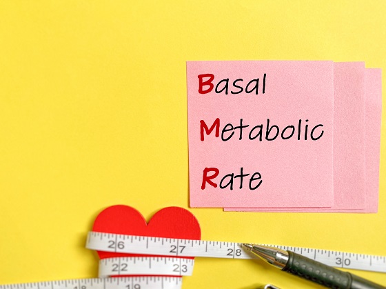Metabolism-bazal