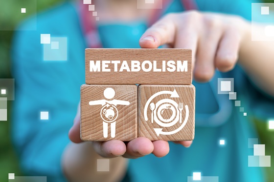 metabolism